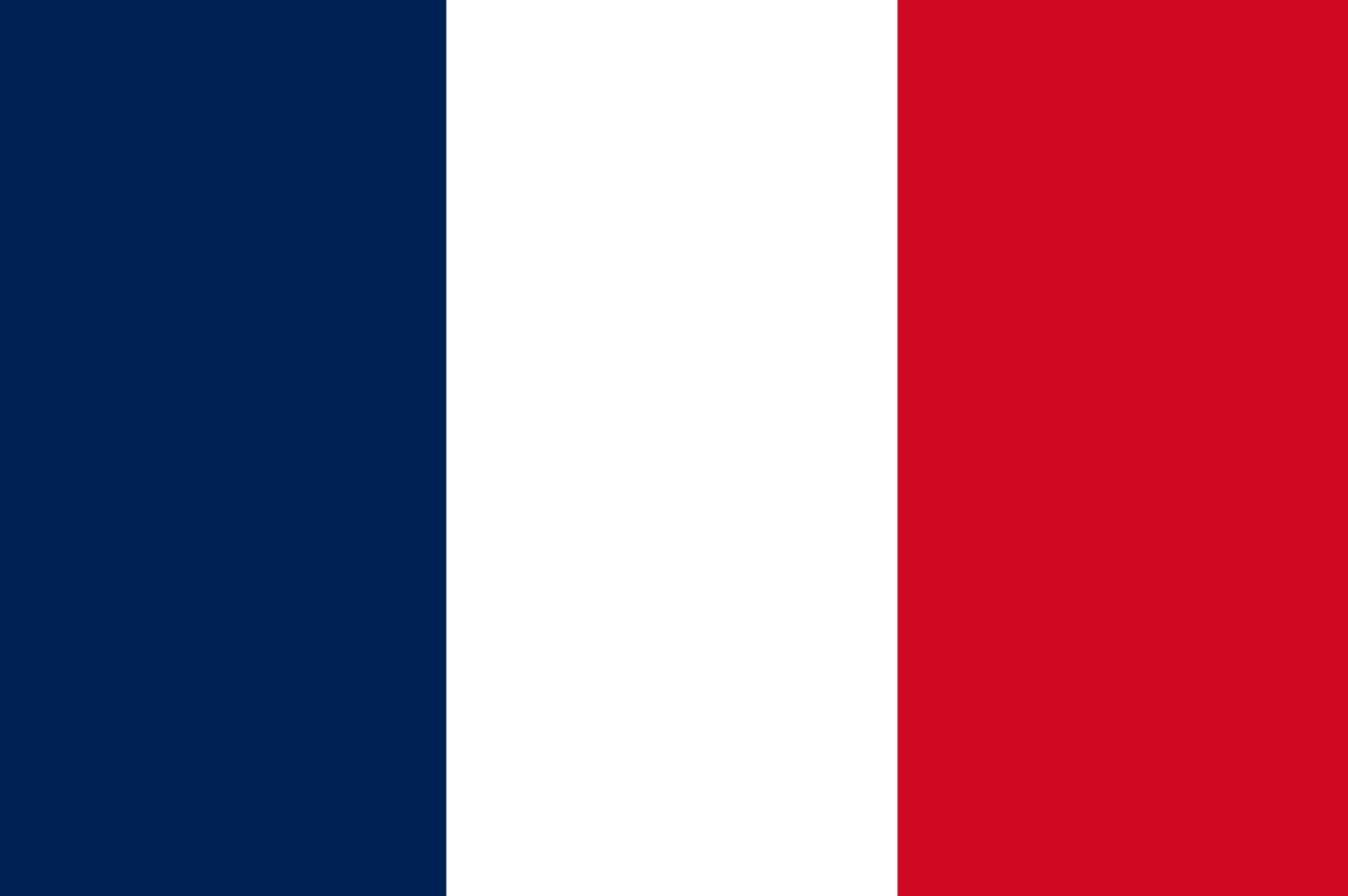 Flagge Frankreich 20 x 30cm