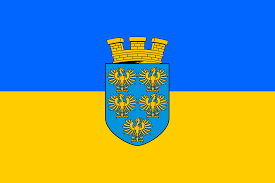 Flagge 20 x 30cm NIEDERÖSTERREICH